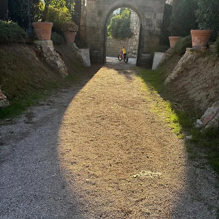 Panoramic In Etruscan Chiusi